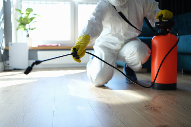 Reliable Infectious Disease Decontamination contractor in Jamestown, CO by Trauma Clean Pros